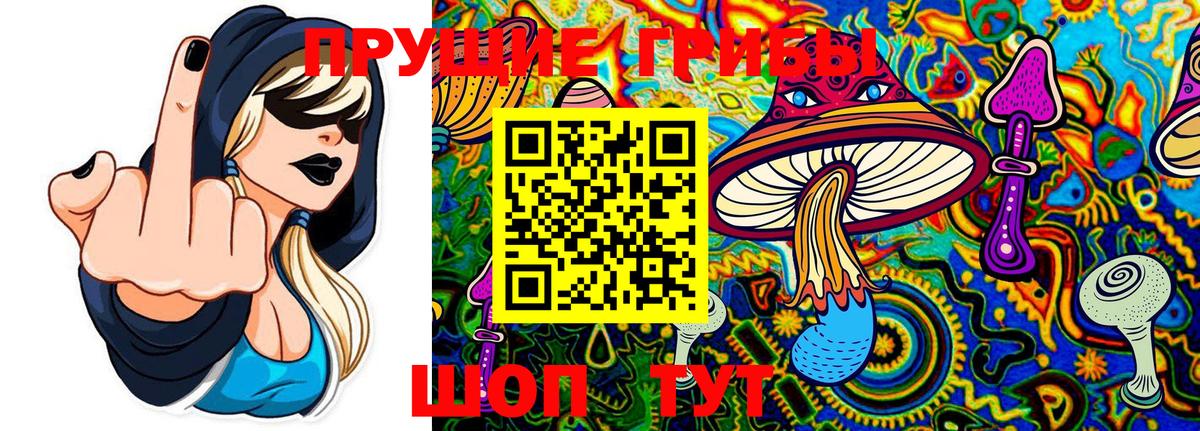 Псилоцибиновые грибы MAGIC MUSHROOMS Екатеринбург