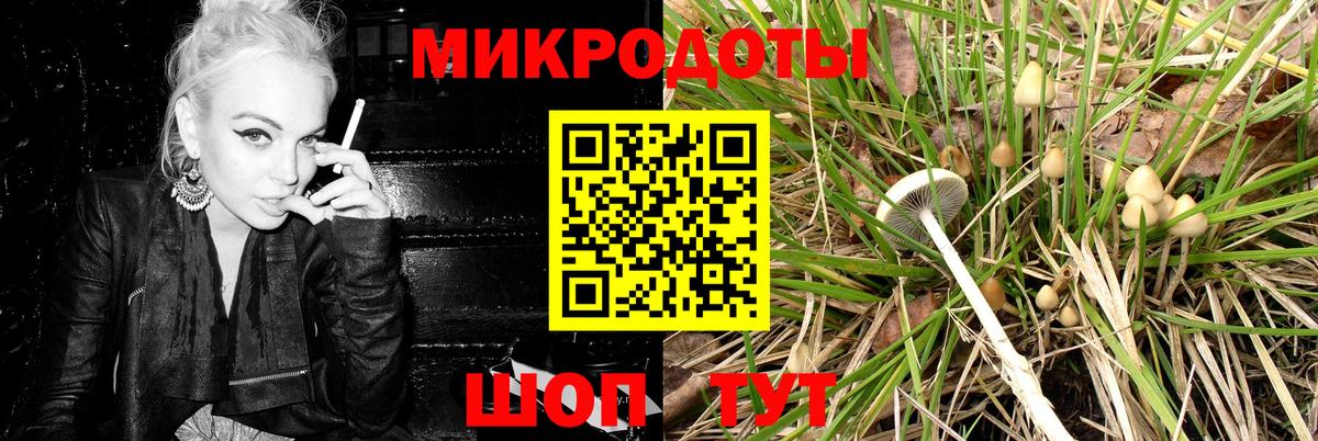 Галлюциногенные грибы MAGIC MUSHROOMS  Вход с VPN  Екатеринбург  Галлюциногенные грибы MAGIC MUSHROOMS 